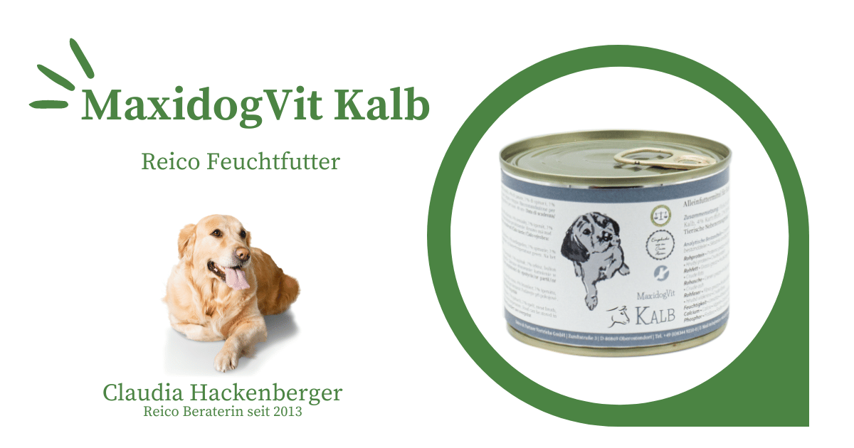 Reico Maxidogvit Kalb