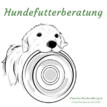 Hundefutterberatung Bild mit Golden retriever Napf in schnauze