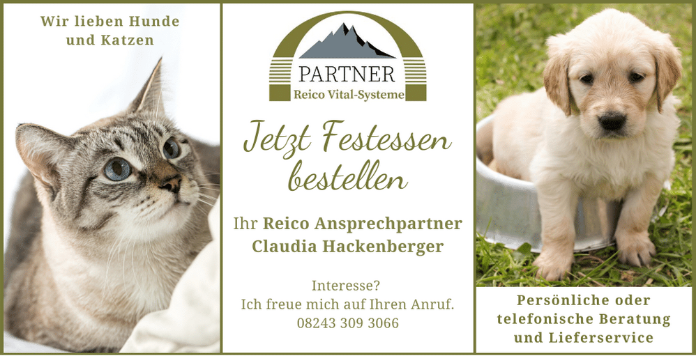 Reico hundefutter Test - Jetzt Festessen bestellen