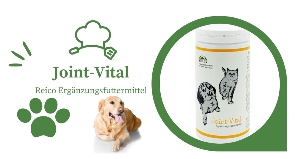 Reico Joint Vital - die Unterstützung für Gelenke und Entzündungen