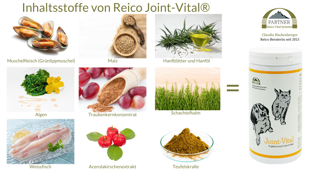 Inhaltsstoffe von Reico Joint-Vital