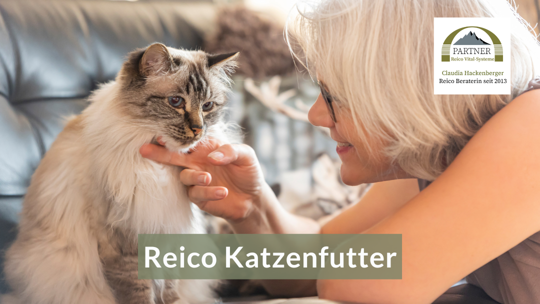 Reico Katzenfutter, Informationen zum Futter und Beratung