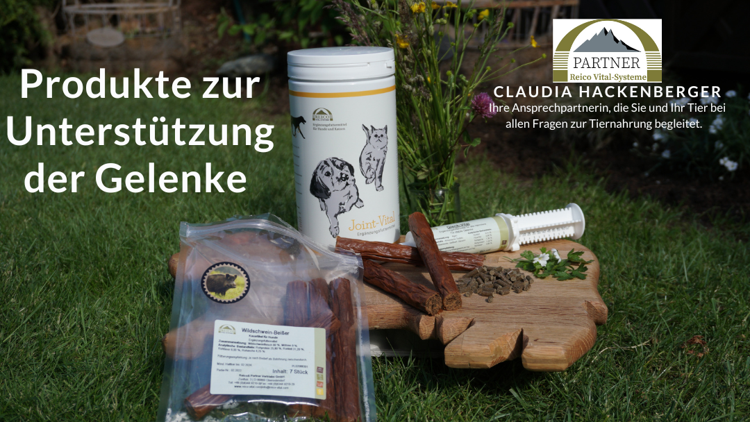 Reico Produkte zur Unterstützung der Gelenke